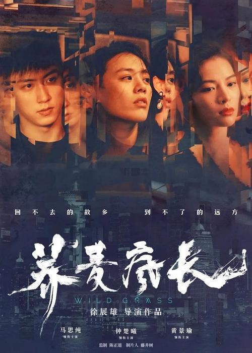 関西医科大学会计文凭证书